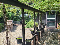Lot 71 - pergola voor klimplanten - afbeelding 2 van  3