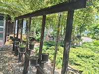 Lot 71 - pergola voor klimplanten - afbeelding 3 van  3