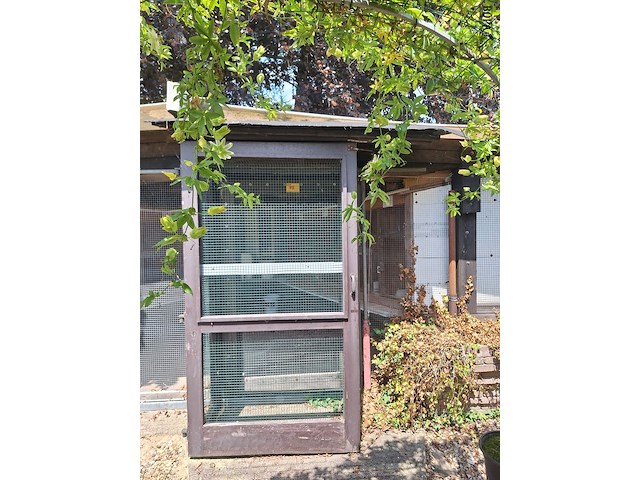 Lot 72 - vogelière - afbeelding 1 van  9