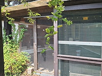 Lot 72 - vogelière - afbeelding 2 van  9