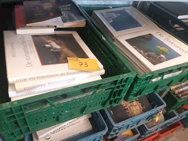 Lot 73 - boeken. 2 bakken - afbeelding 1 van  3
