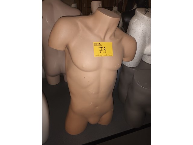 Lot 73 - huidskleur torso man - afbeelding 1 van  3