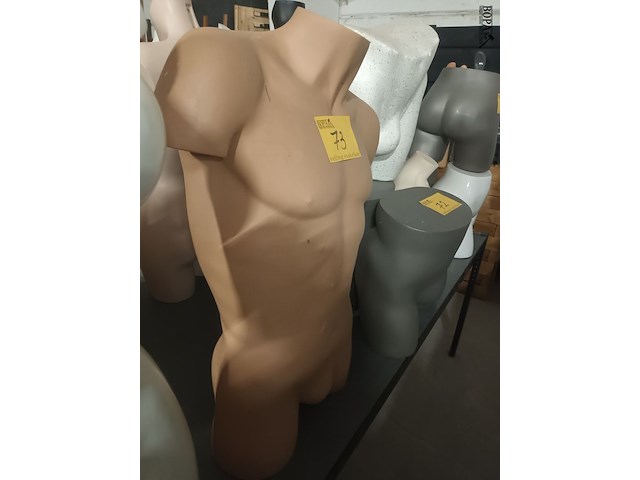 Lot 73 - huidskleur torso man - afbeelding 2 van  3