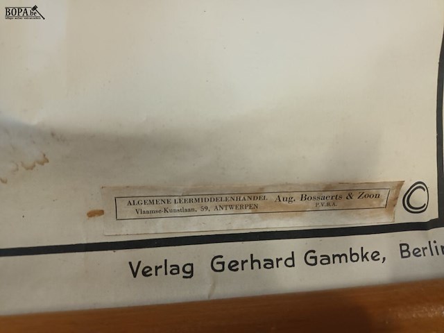 Lot 73 - vintage schoolplaat vissen - afbeelding 4 van  5