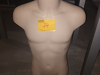 Lot 74 - paspop man torso - afbeelding 1 van  2