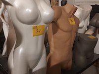 Lot 74 - witte torso vrouw - afbeelding 3 van  3