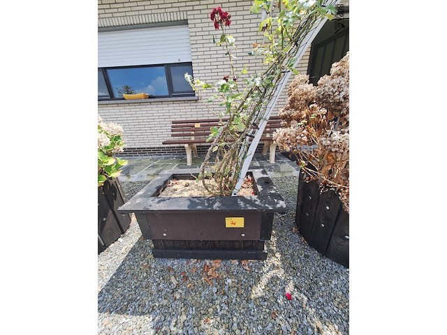Lot 76 - bloembak met plant. 2 stuks - afbeelding 2 van  4