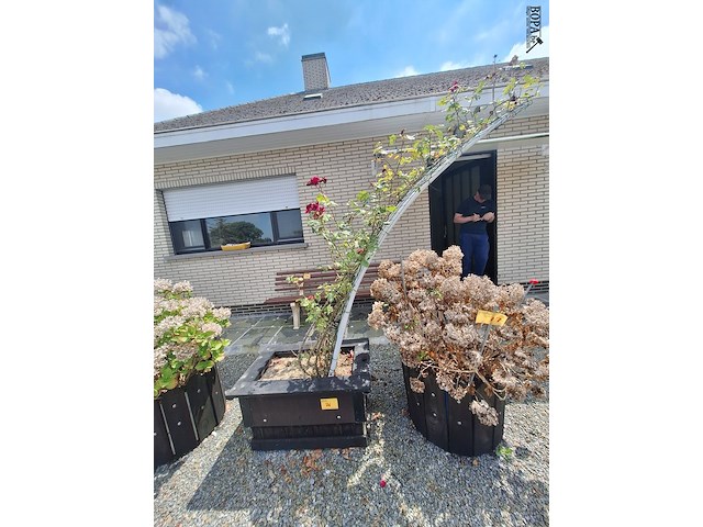 Lot 76 - bloembak met plant. 2 stuks - afbeelding 3 van  4