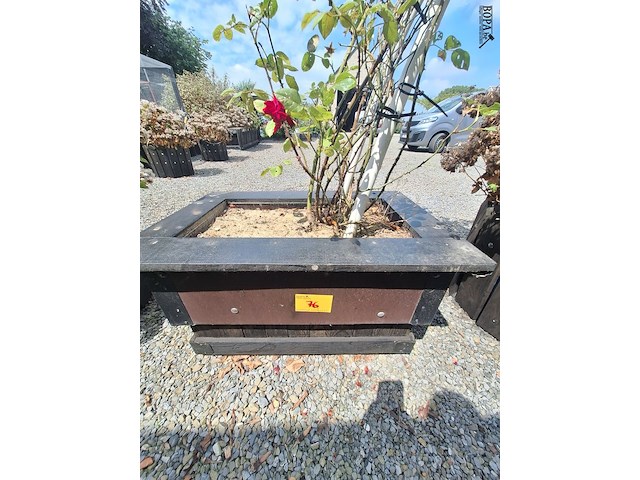 Lot 76 - bloembak met plant. 2 stuks - afbeelding 4 van  4