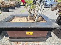 Lot 76 - bloembak met plant. 2 stuks - afbeelding 4 van  4