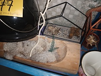 Lot 77 - decoratie - afbeelding 2 van  4