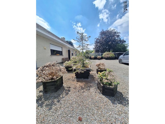 Lot 78 - bloembak met plant. 6 stuks - afbeelding 4 van  4
