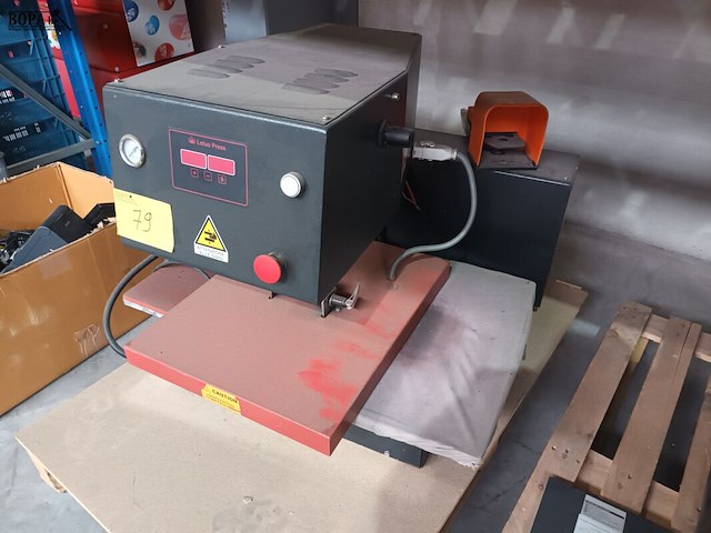 Lot 79 - lotus hittepers - afbeelding 2 van  6