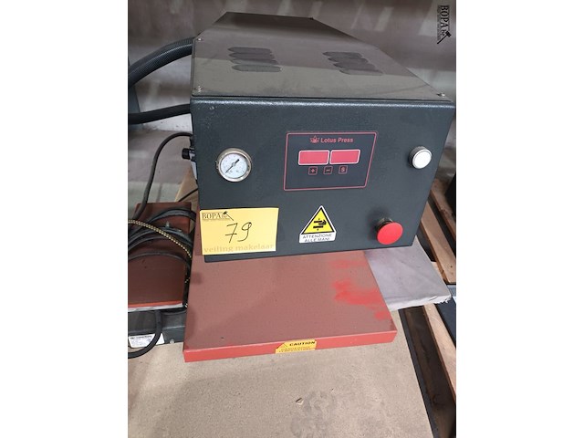 Lot 79 - lotus hittepers - afbeelding 3 van  6