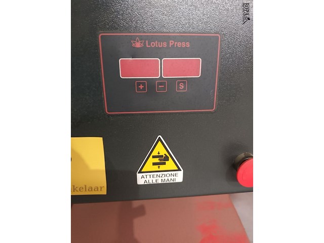 Lot 79 - lotus hittepers - afbeelding 4 van  6