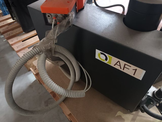 Lot 79 - lotus hittepers - afbeelding 5 van  6