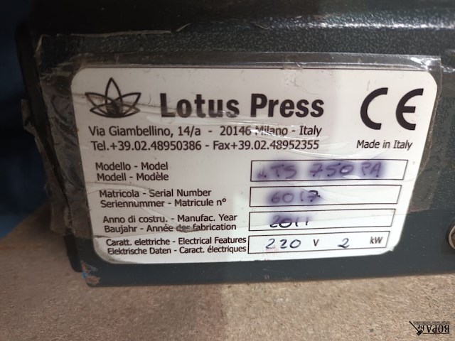 Lot 79 - lotus hittepers - afbeelding 6 van  6