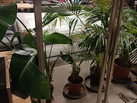 Lot 79 - rvs kledingrekken. 2 stuks - afbeelding 1 van  3