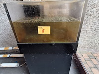 Lot 8 - homarium - afbeelding 1 van  5