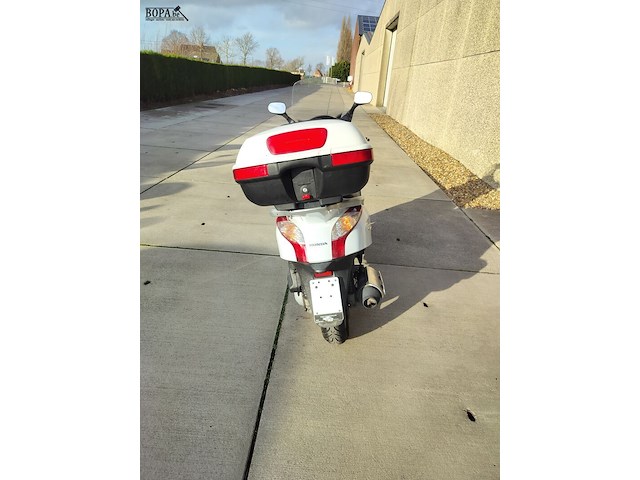 Lot 8 - honda fes125 (2009-chass.zdcjf12b07f065216) - afbeelding 6 van  12