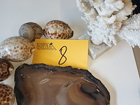 Lot 8 - koraal, agaat en schelpen. 7 stuks