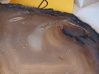 Lot 8 - koraal, agaat en schelpen. 7 stuks - afbeelding 4 van  4