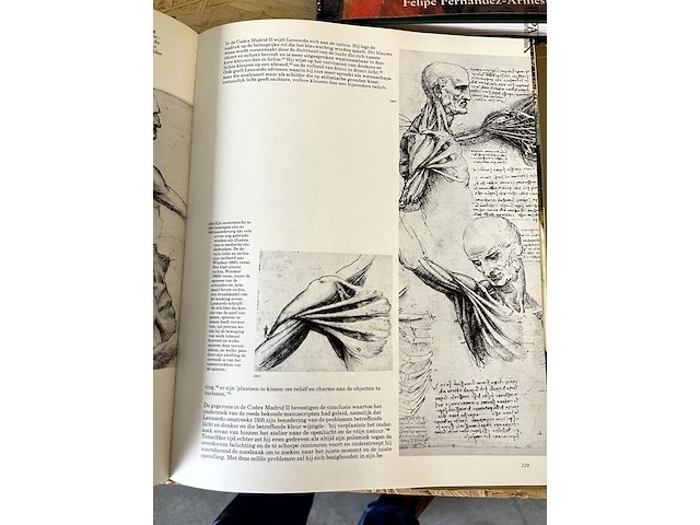Lot 8 - leonardo davinci - afbeelding 5 van  8