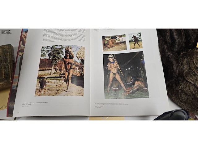 Lot 8 - penisboek van versiering tot verminking - afbeelding 2 van  6