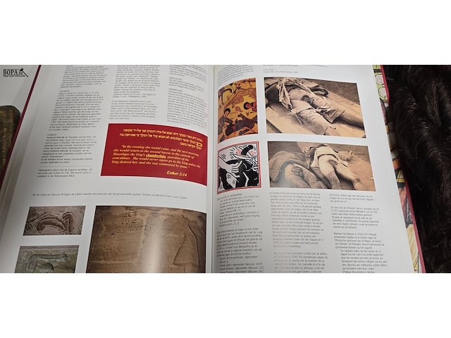 Lot 8 - penisboek van versiering tot verminking - afbeelding 4 van  6