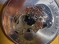 Lot 8 - zilveren beleggingsmunten 1 oz maple leaf 2 stuks - afbeelding 2 van  3