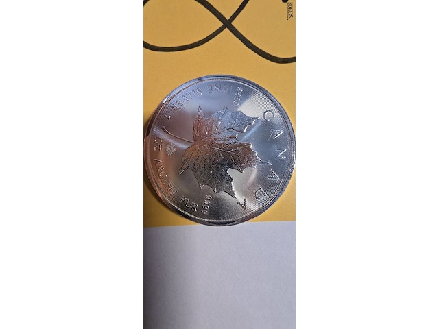 Lot 8 - zilveren beleggingsmunten 1 oz maple leaf 2 stuks - afbeelding 3 van  3