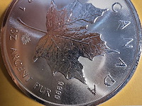 Lot 8 - zilveren beleggingsmunten 1 oz maple leaf 2 stuks - afbeelding 3 van  3