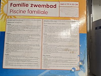 Lot 80 - familie opblaasbaar zwembad - afbeelding 3 van  3