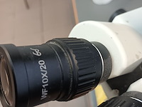 Lot 80 - microscoop - afbeelding 4 van  4
