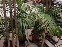 Lot 80 - rvs kledingrekken. 2 stuks - afbeelding 1 van  3