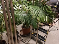 Lot 80 - rvs kledingrekken. 2 stuks - afbeelding 2 van  3