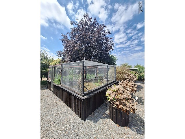 Lot 81 - vogelière - afbeelding 2 van  11