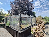 Lot 81 - vogelière - afbeelding 2 van  11
