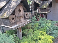 Lot 81 - vogelière - afbeelding 7 van  11