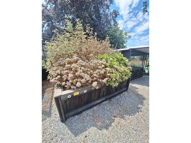 Lot 82 - bloembak met planten - afbeelding 1 van  3