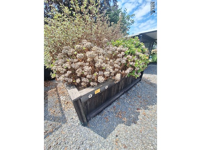 Lot 82 - bloembak met planten - afbeelding 2 van  3