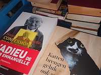 Lot 82 - boeken. 2 bakken - afbeelding 2 van  3