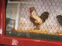 Lot 82 - muurkapstok diorama kippen - afbeelding 2 van  5