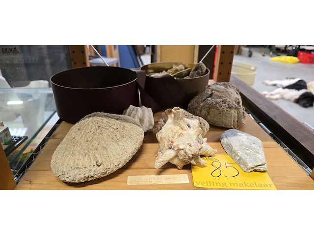 Lot 83 - airco delonghi met afvoer - afbeelding 7 van  9