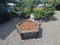 Lot 83 - bloembak - afbeelding 3 van  3