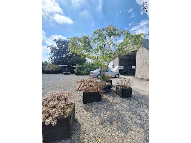 Lot 84 - bloembak met plant. 6 stuks - afbeelding 3 van  3