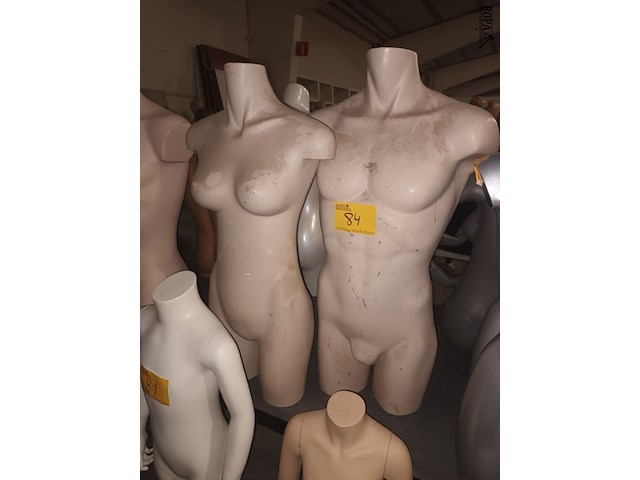 Lot 84 - huidskleur torso man en vrouw - afbeelding 1 van  3
