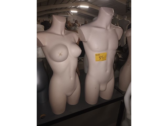 Lot 85 - huidskleur torso man en vrouw - afbeelding 1 van  4