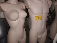 Lot 85 - huidskleur torso man en vrouw - afbeelding 1 van  4