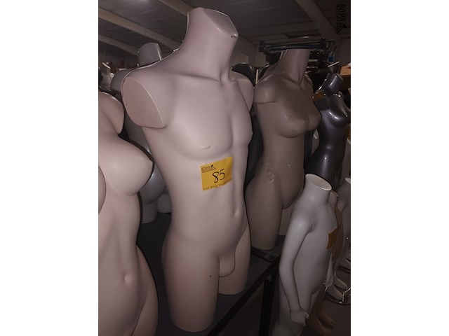 Lot 85 - huidskleur torso man en vrouw - afbeelding 3 van  4